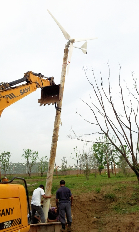 風光互補 (91).jpg